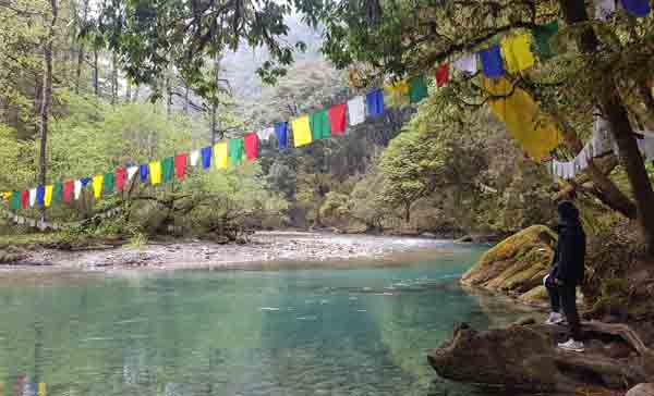 Jigme Dorji National Park
